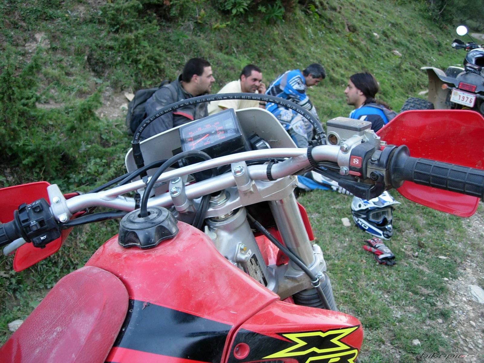 2002 HONDA XR 650 | Picture 426025 motorcycle photo