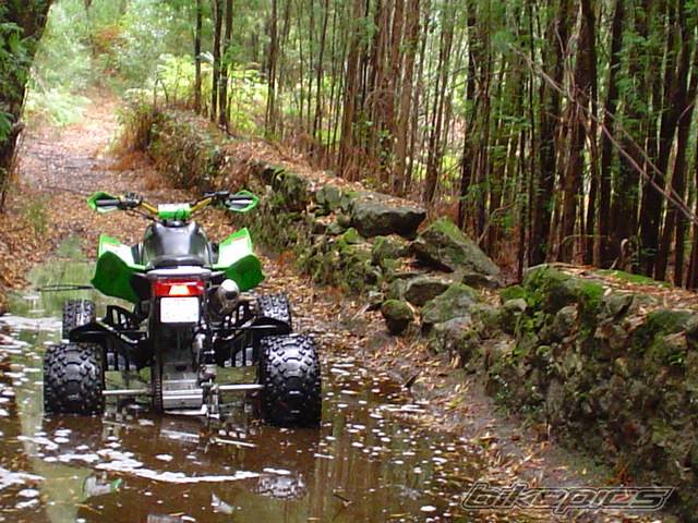2005 ARCTIC CAT SPORT CAT DVX 400 | Picture 426037 motorcycle photo