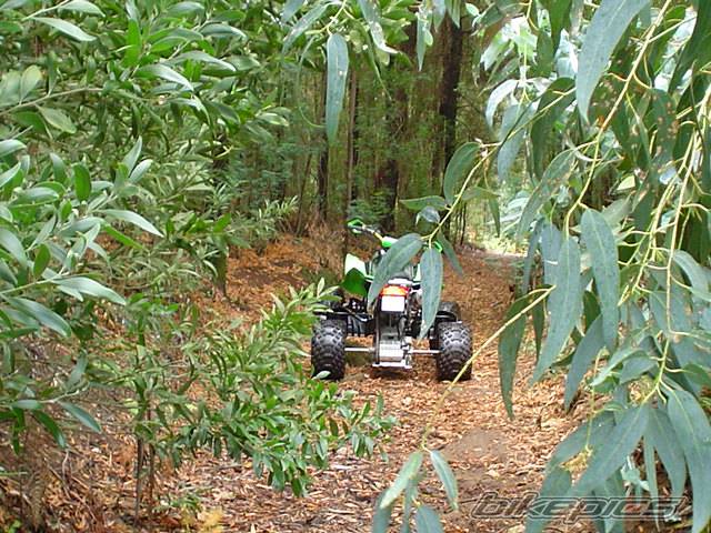 2005 ARCTIC CAT SPORT CAT DVX 400 | Picture 426040 motorcycle photo