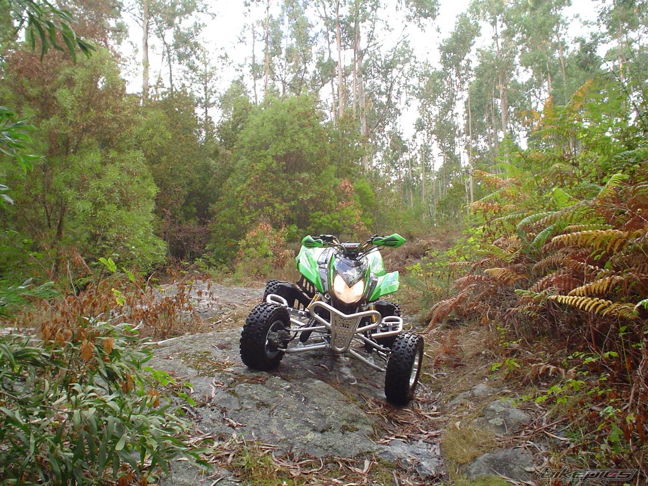 2005 ARCTIC CAT SPORT CAT DVX 400 | Picture 426045 motorcycle photo