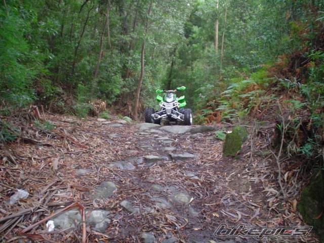 2005 ARCTIC CAT SPORT CAT DVX 400 | Picture 426053 motorcycle photo