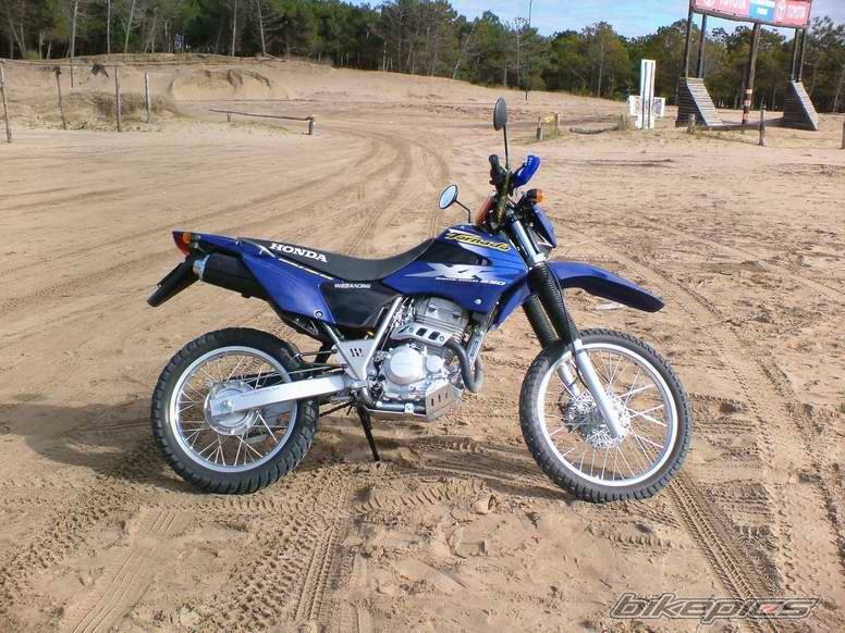 2004 HONDA XR 250 | Picture 426205 motorcycle photo