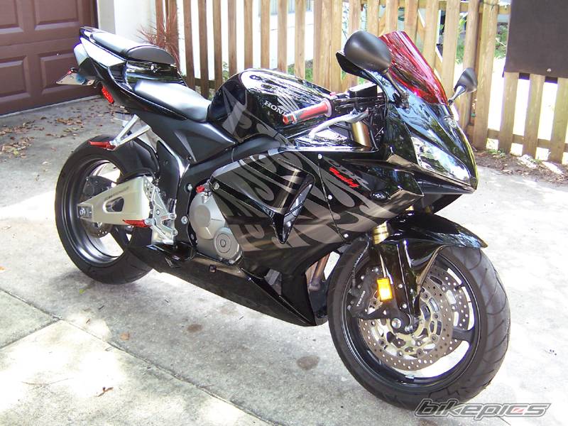 2005 HONDA CBR 600 | Picture 426422 motorcycle photo
