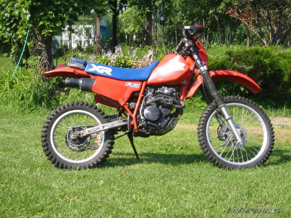 1984 HONDA XR 250 | Picture 426470 motorcycle photo
