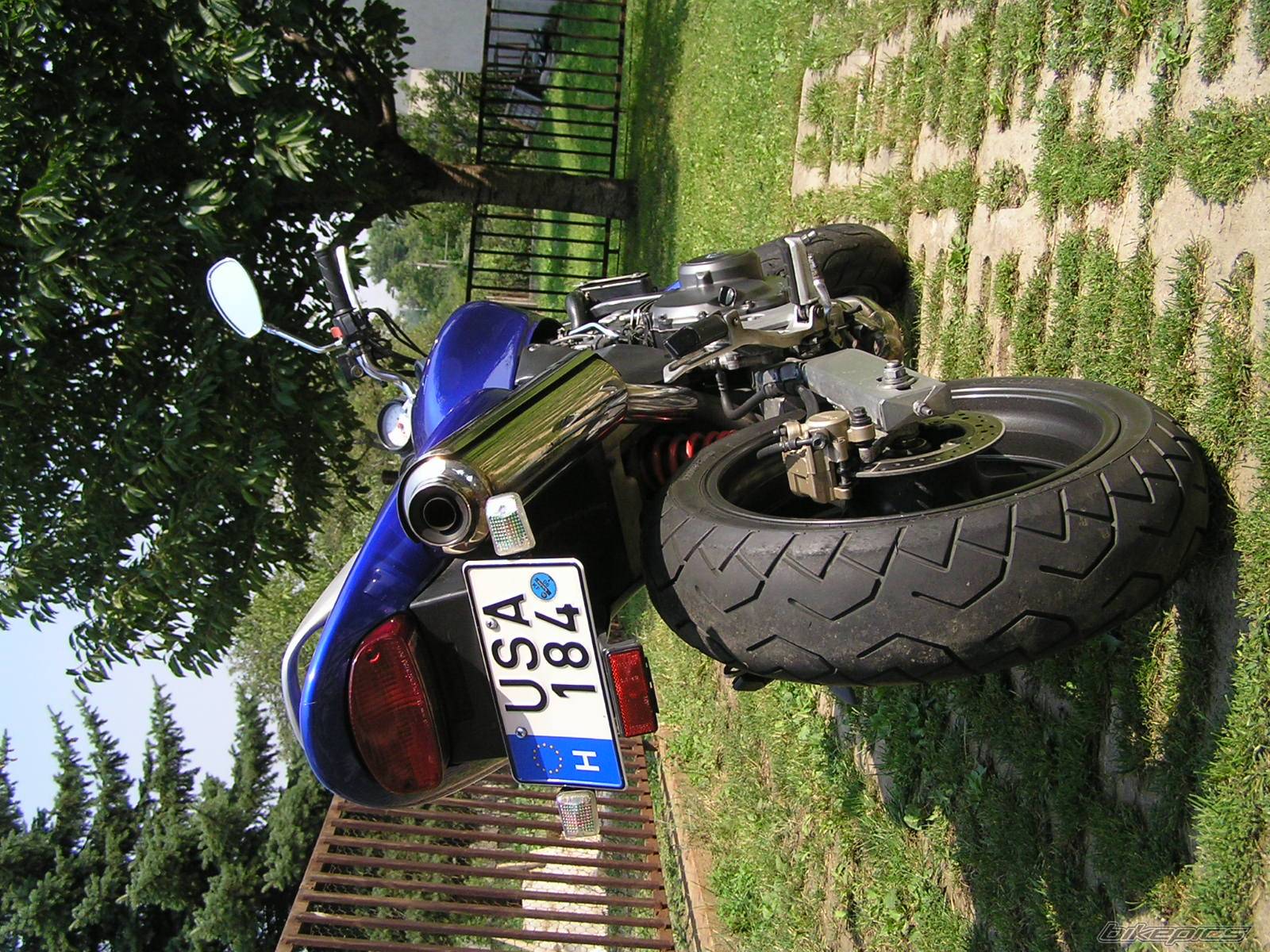 1997 HONDA CB 250 HORNET | Picture 426521 motorcycle photo