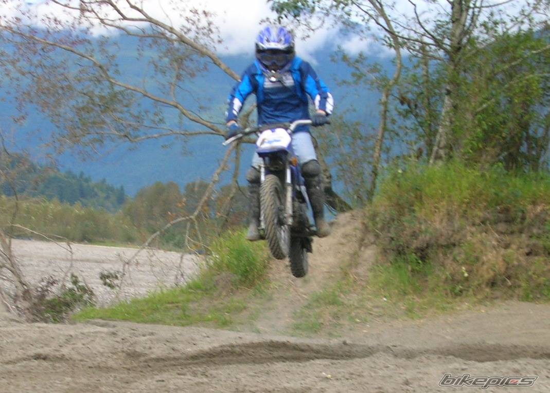 2001 YAMAHA PW 80 | Picture 427197 motorcycle photo