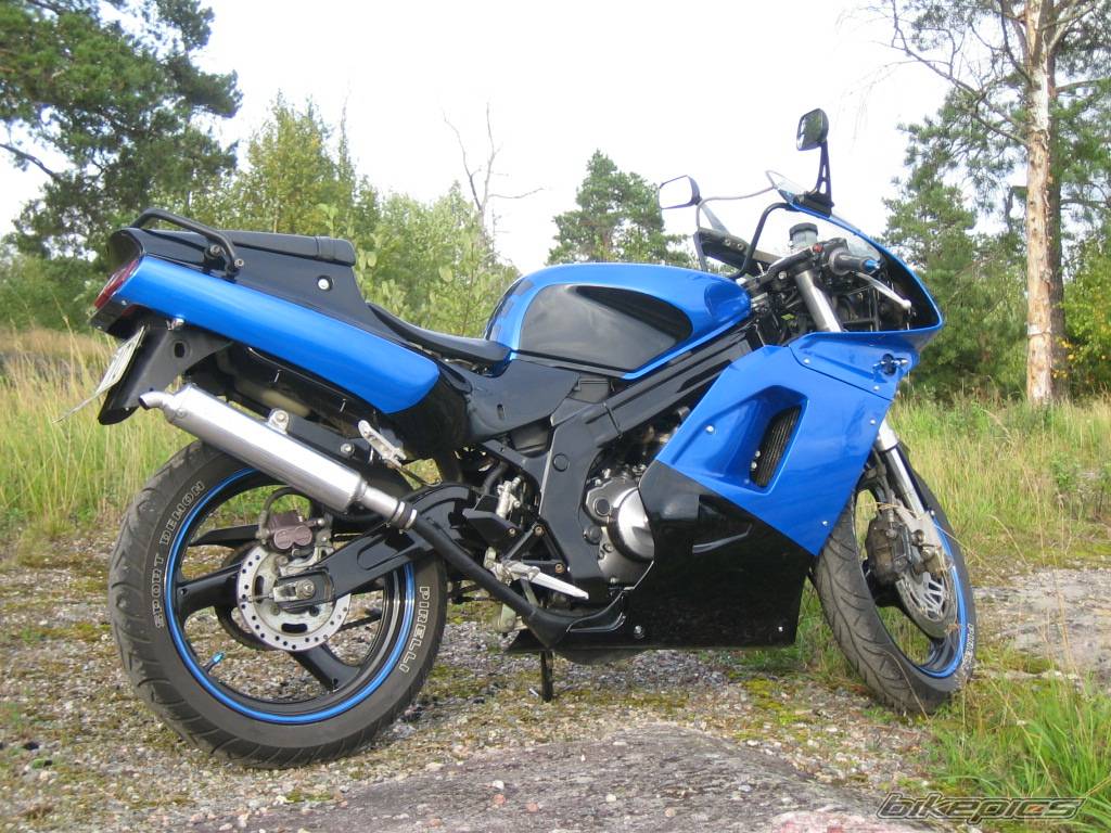 1993 SUZUKI RG 125 | Picture 427637 motorcycle photo