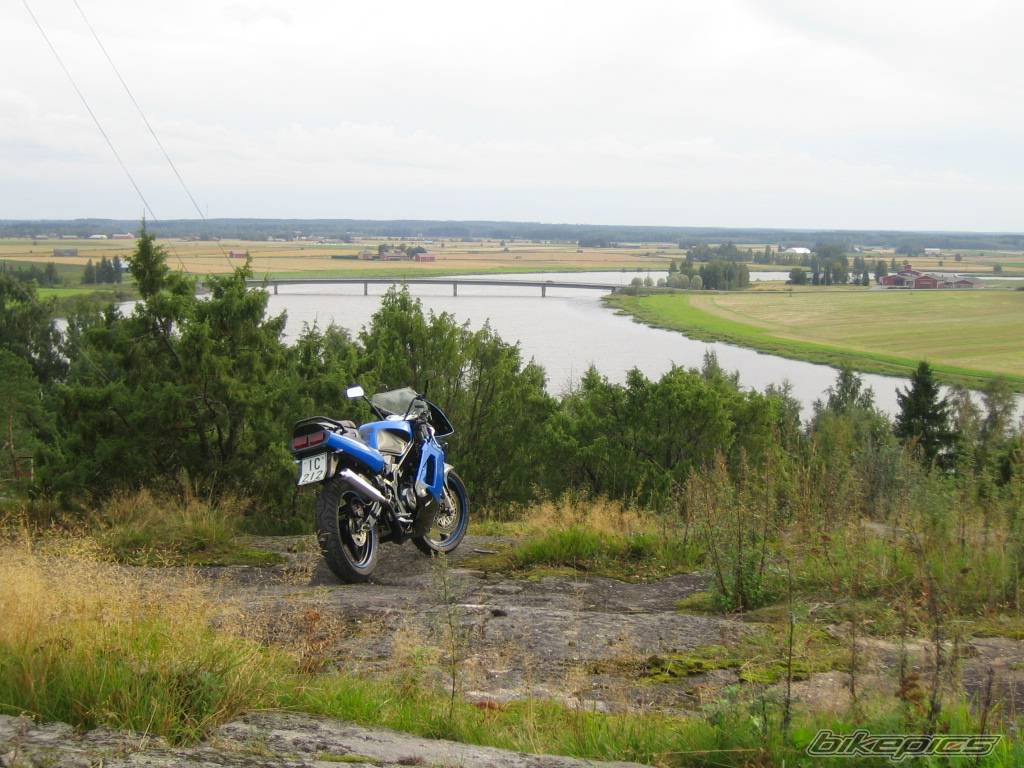 1993 SUZUKI RG 125 | Picture 427638 motorcycle photo