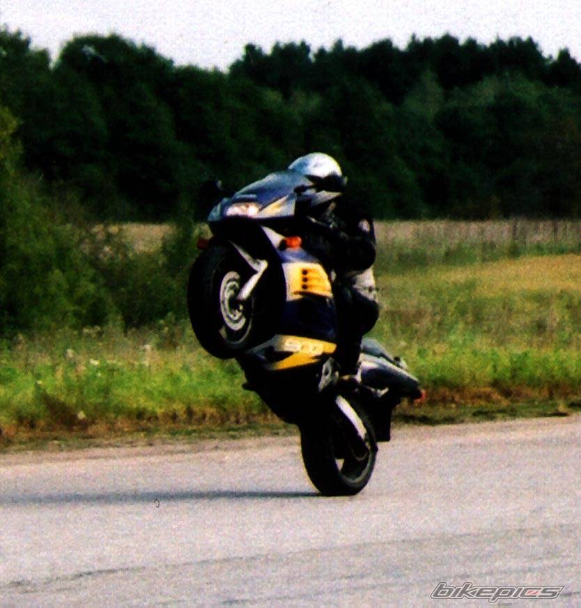 1996 SUZUKI RF 900 | Picture 42840 motorcycle photo