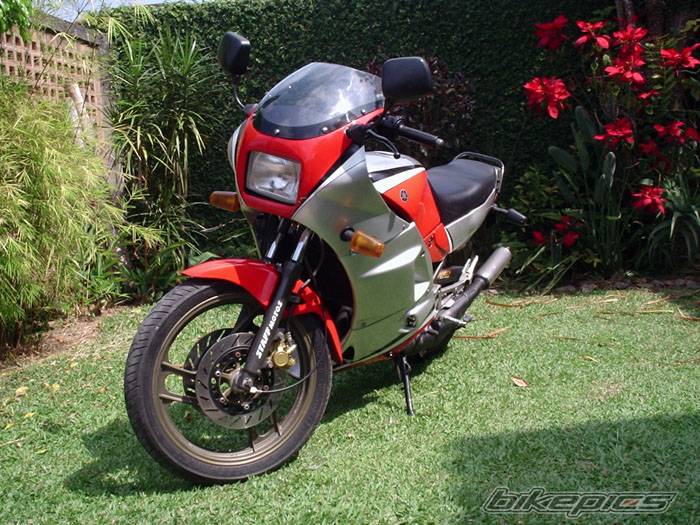 1988 YAMAHA RD 350 | Picture 428507 motorcycle photo