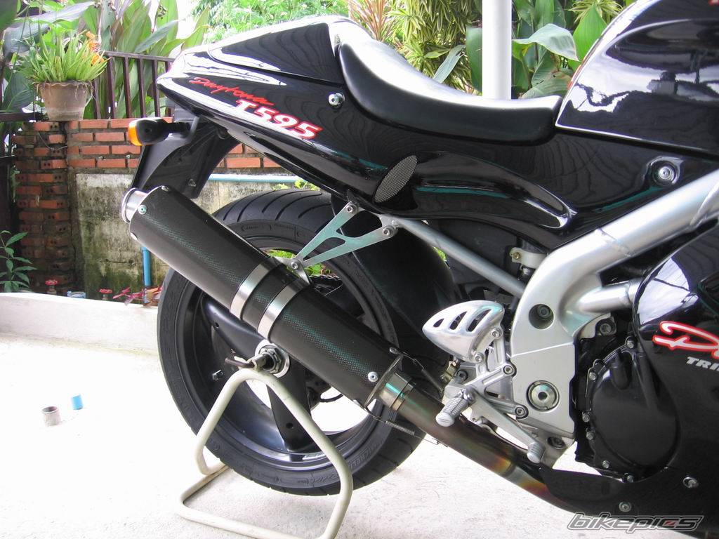 1998 TRIUMPH T 595 | Picture 428703 motorcycle photo