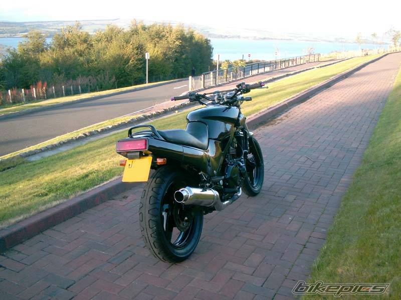 1992 KAWASAKI GPZ 500 | Picture 428772 motorcycle photo