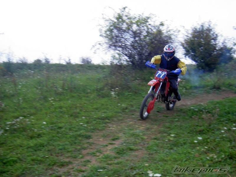 1986 HONDA CR 80 | Picture 428960 motorcycle photo