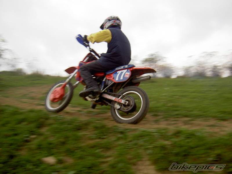 1986 HONDA CR 80 | Picture 428961 motorcycle photo