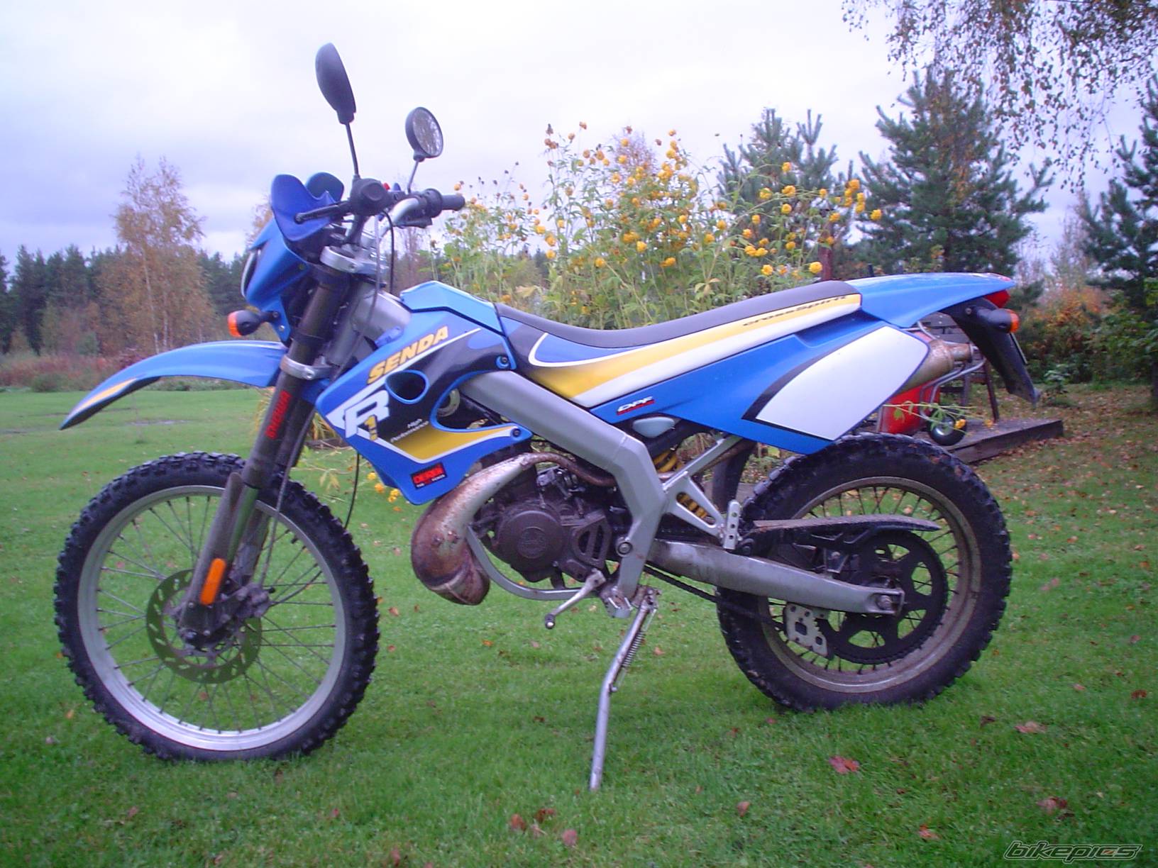 2002 DERBI SENDA R 50 | Picture 429428 motorcycle photo