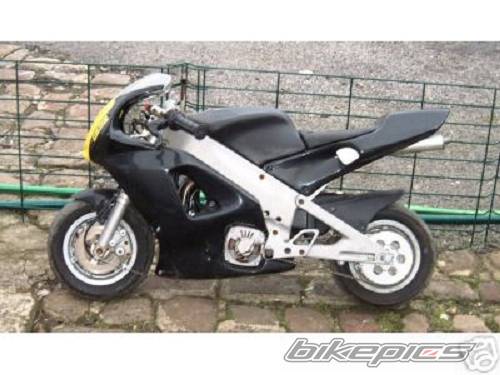 2005 POLINI 911 | Picture 430106 motorcycle photo