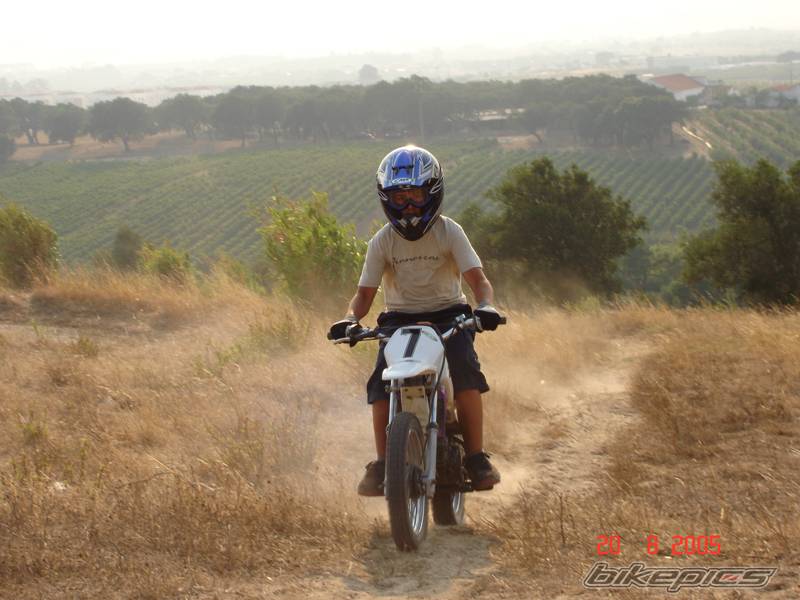 2004 YAMAHA PW 80 | Picture 430510 motorcycle photo