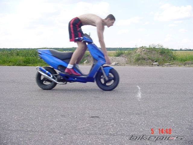 1996 MALAGUTI PHANTOM 50 F12 | Picture 430554 motorcycle photo