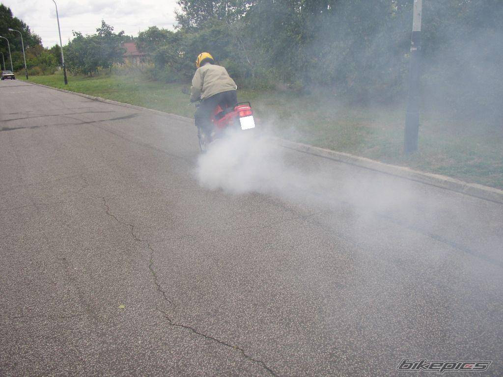 1987 HONDA CBR 600 | Picture 430964 motorcycle photo