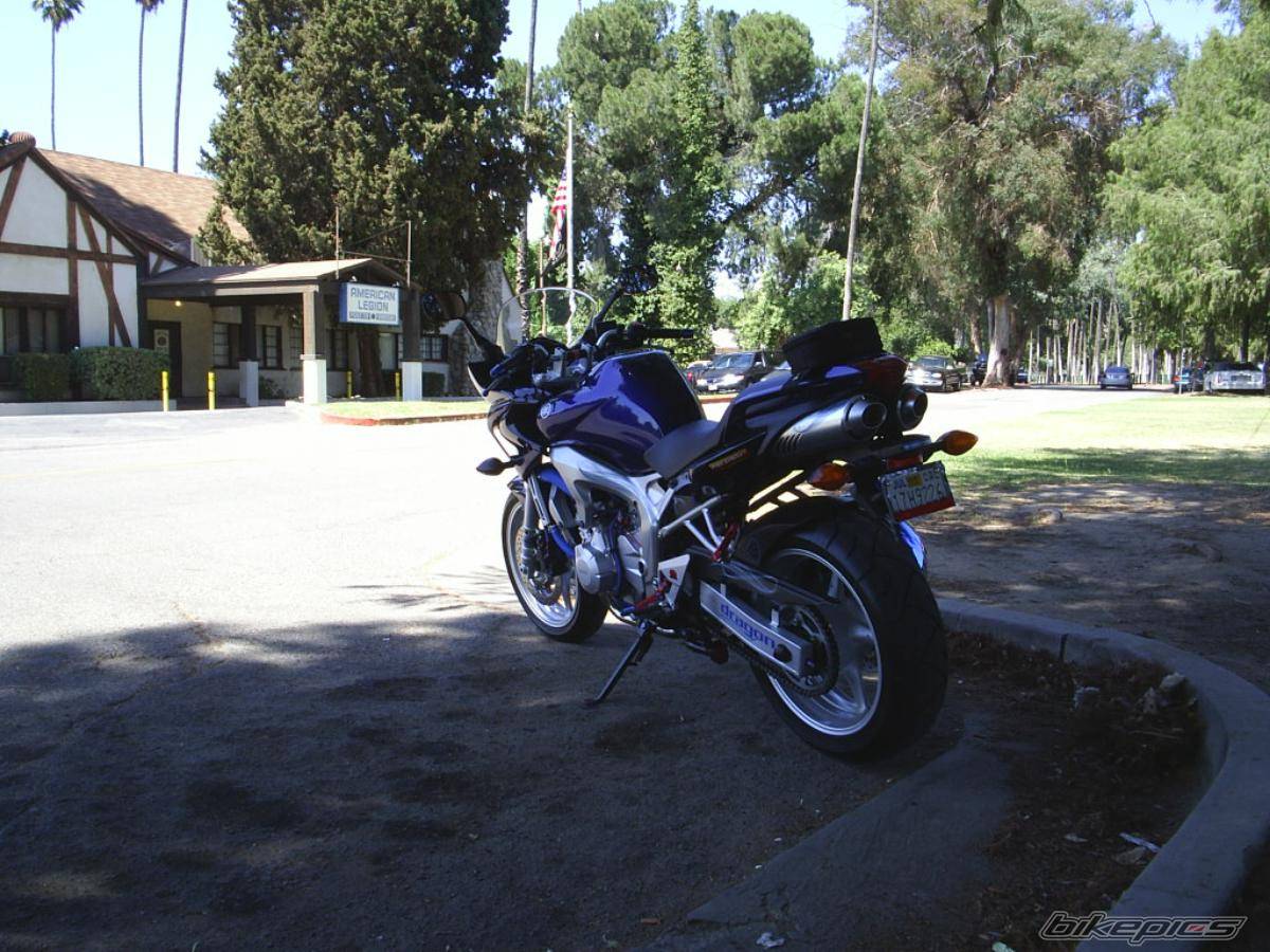 2004 YAMAHA FZ6 FAZER | Picture 431063 motorcycle photo