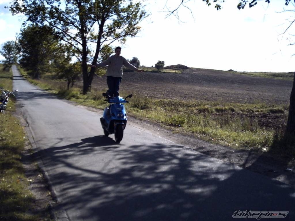 2005 MALAGUTI PHANTOM 50 F12 | Picture 431162 motorcycle photo