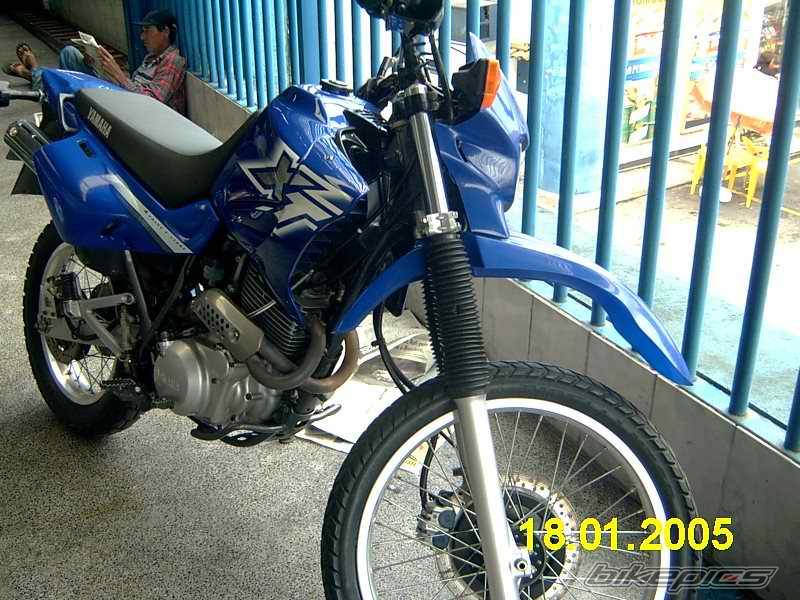 2001 YAMAHA XT 600 | Picture 431486 motorcycle photo