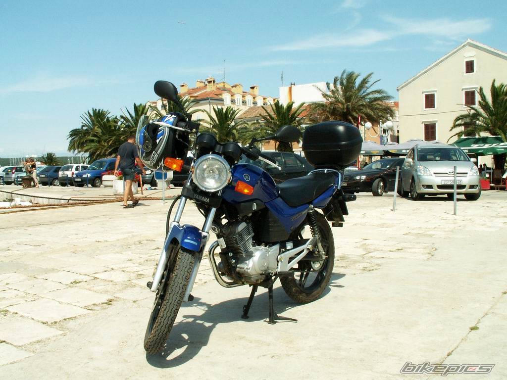 2005 YAMAHA YBR 125 | Picture 431576 motorcycle photo