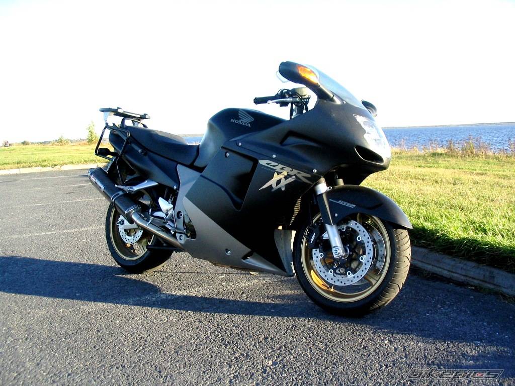 2004 HONDA CBR 1100 BLACKBIRD | Picture 432070 motorcycle photo