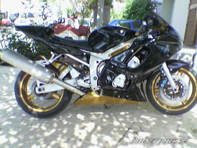 2002 YAMAHA YZF R6 | Picture 432315 motorcycle photo