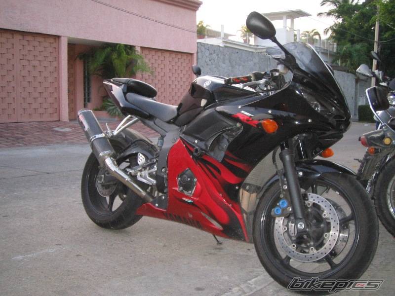 2003 YAMAHA YZF R6 | Picture 432469 motorcycle photo