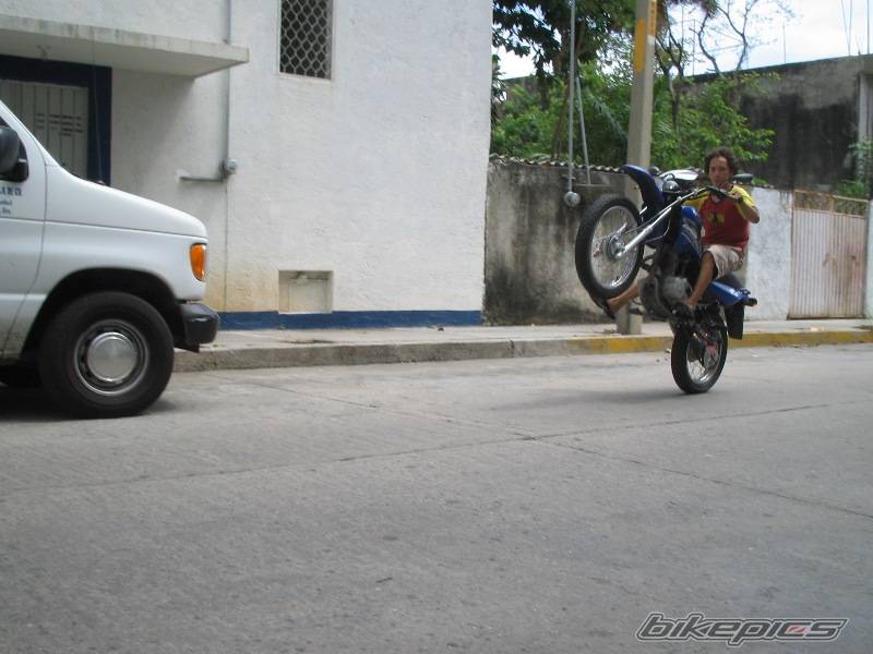 2005 HONDA NXR 125 | Picture 432472 motorcycle photo
