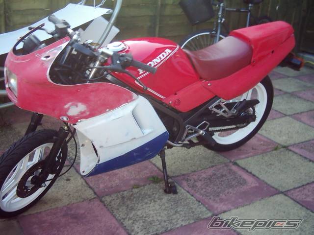 1991 HONDA NS 125 | Picture 432881 motorcycle photo