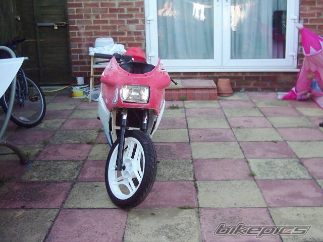 1991 HONDA NS 125 | Picture 432882 motorcycle photo