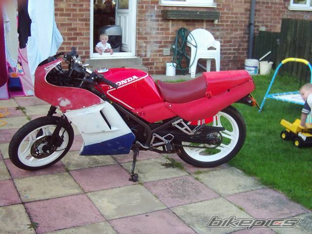 1991 HONDA NS 125 | Picture 432884 motorcycle photo