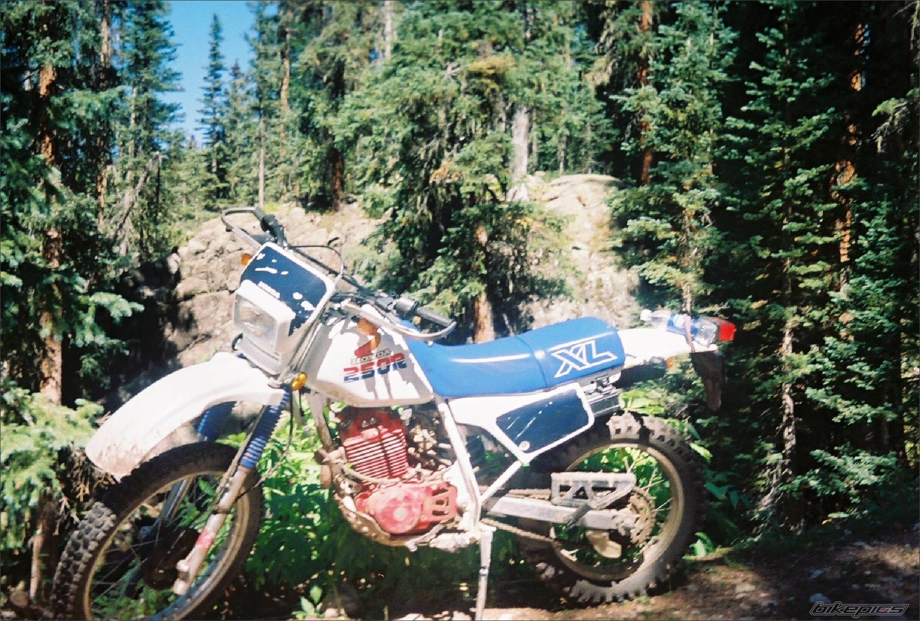 1986 HONDA XL 250 | Picture 433117 motorcycle photo