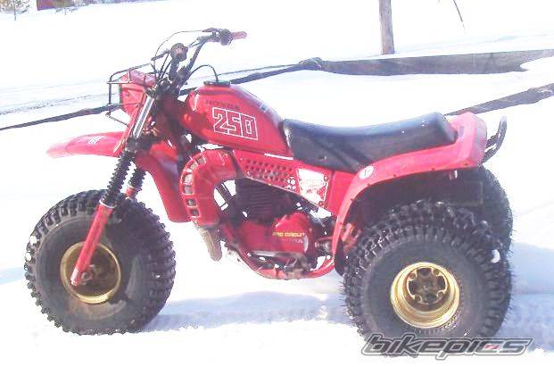 1981 HONDA ATC 250 | Picture 433327 motorcycle photo