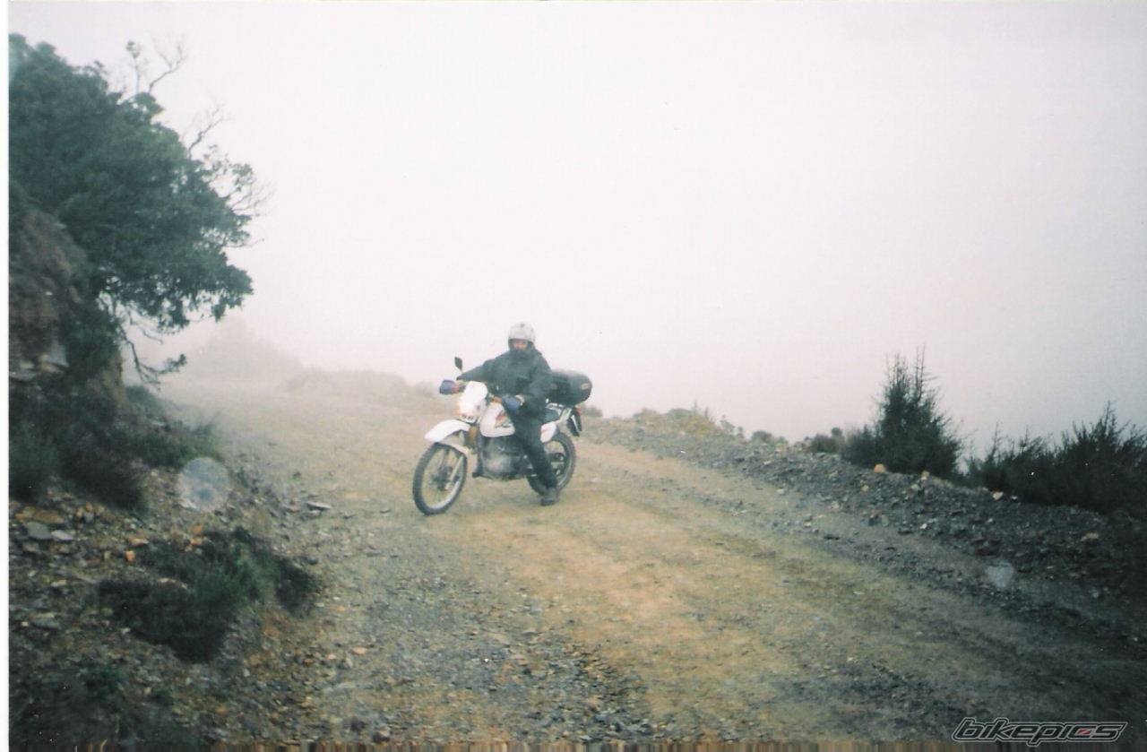 1998 SUZUKI DR 200 | Picture 433386 motorcycle photo
