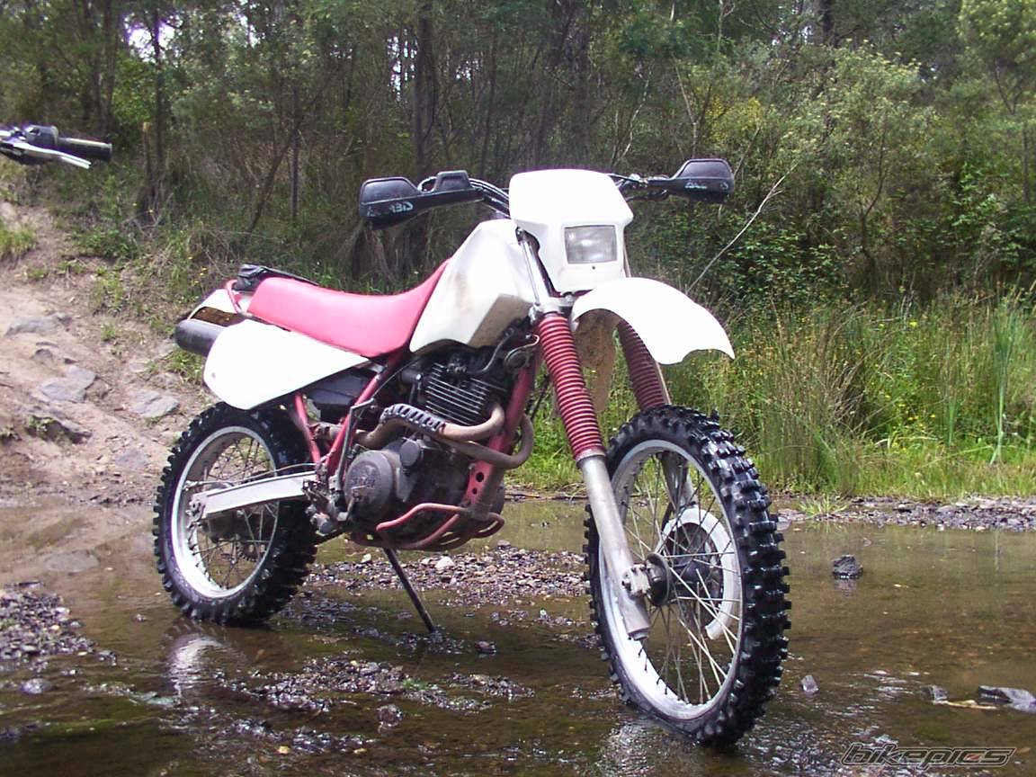 1986 YAMAHA TTR 600 | Picture 43344 motorcycle photo