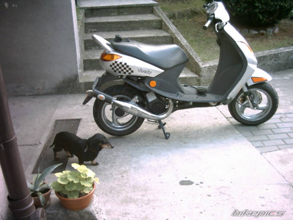 2005 PEUGEOT VIVACITY | Picture 433441 motorcycle photo