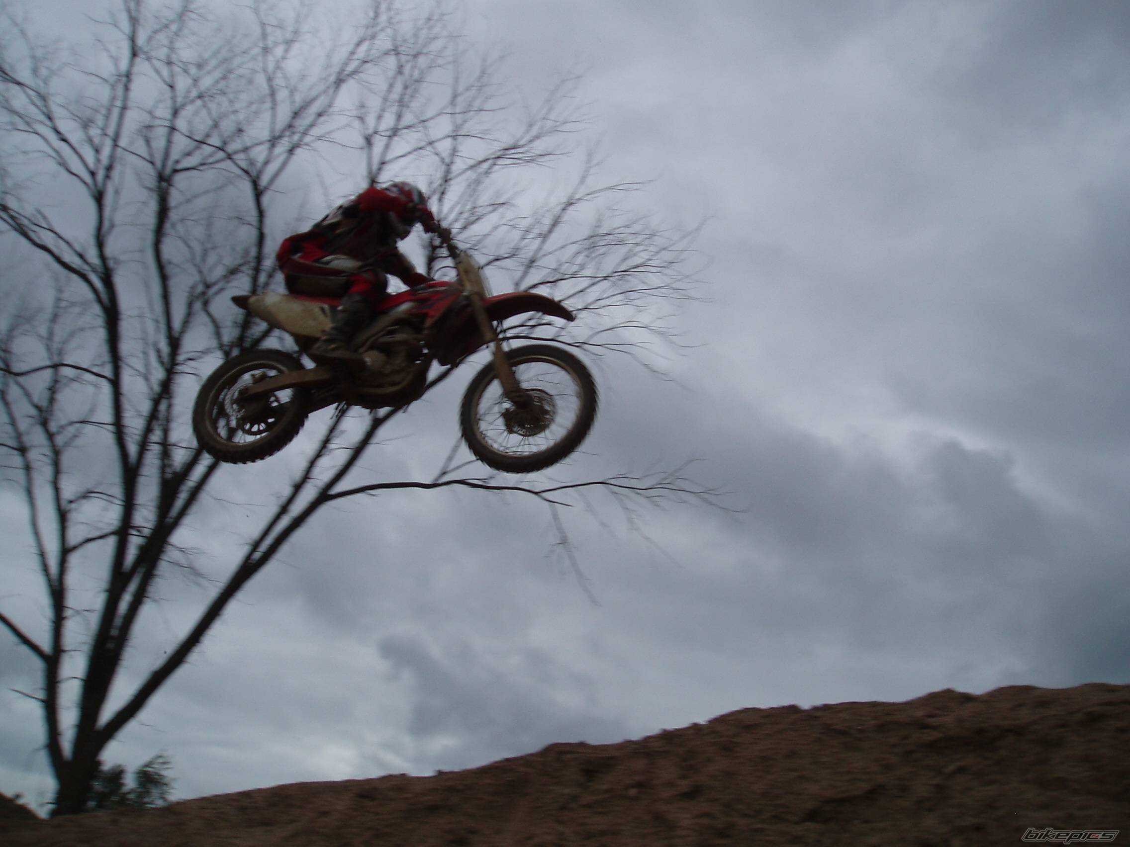 2004 HONDA CRF 250 | Picture 433451 motorcycle photo