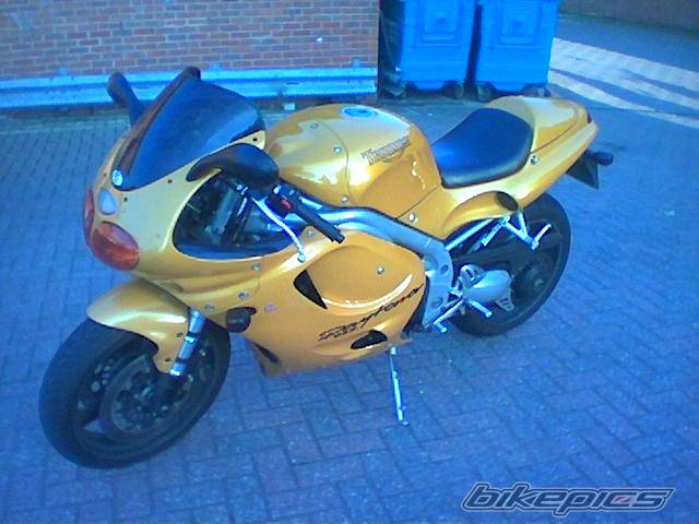 2003 TRIUMPH DAYTONA 955 | Picture 433609 motorcycle photo