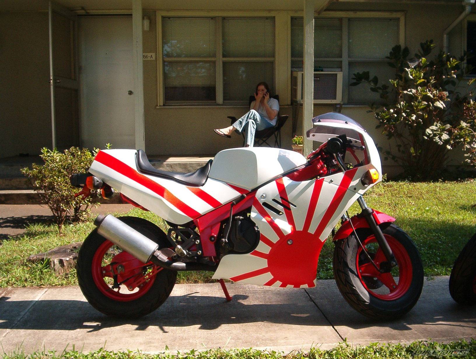 1987 SUZUKI GSX R 50 | Picture 433900 motorcycle photo
