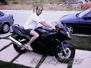 1999 HONDA CBR 1100 BLACKBIRD | Picture 43404 motorcycle photo
