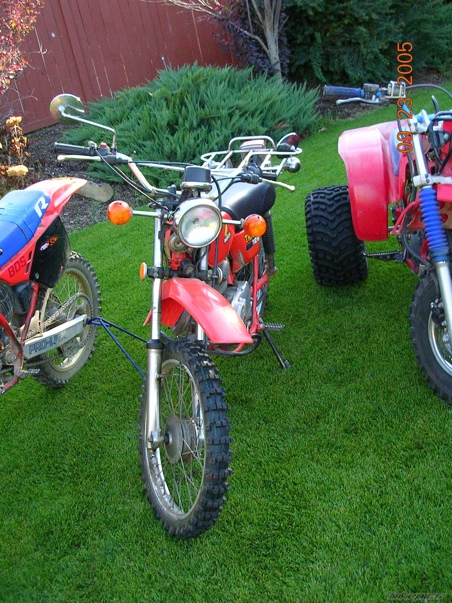 1977 HONDA CT 125 | Picture 434321 motorcycle photo