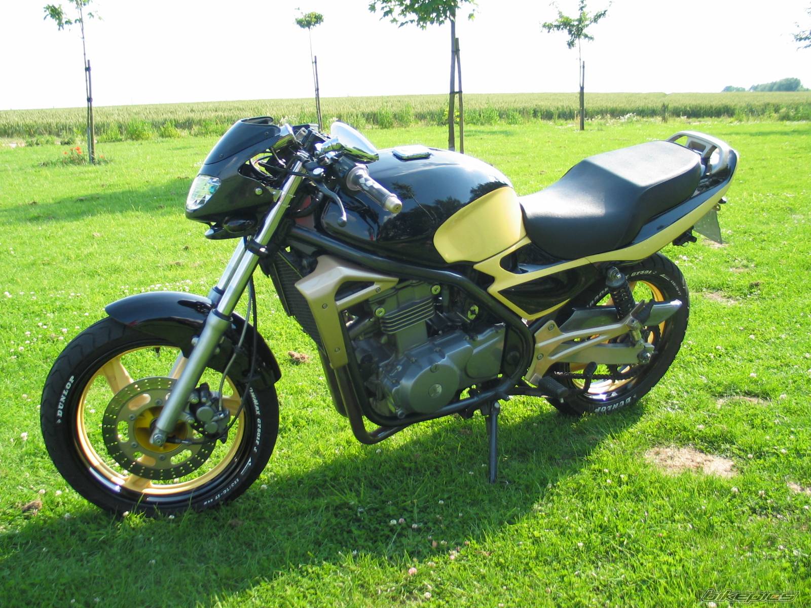 2000 KAWASAKI ER5 | Picture 434322 motorcycle photo