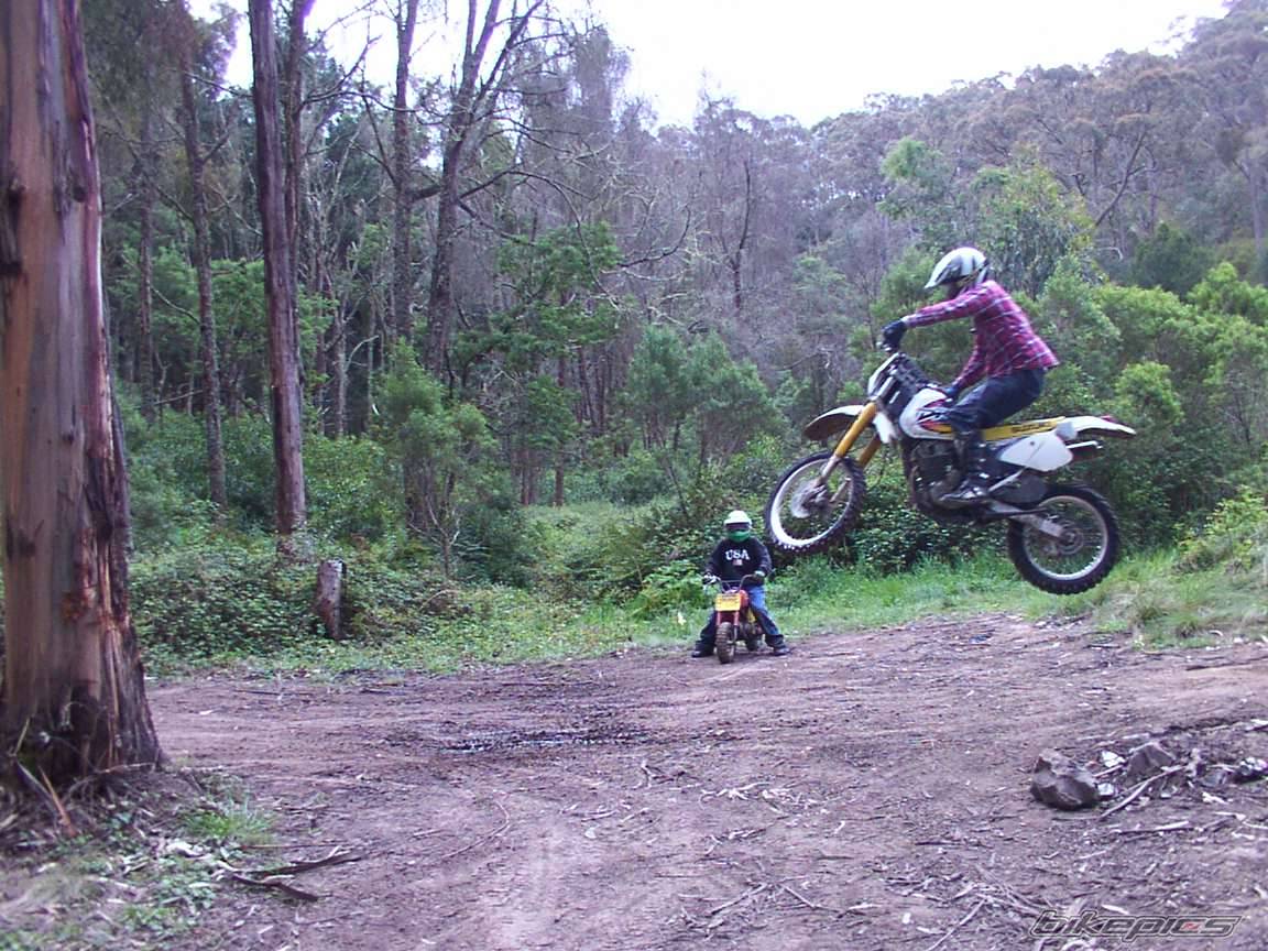 1998 SUZUKI DRZ 250 | Picture 43434 motorcycle photo