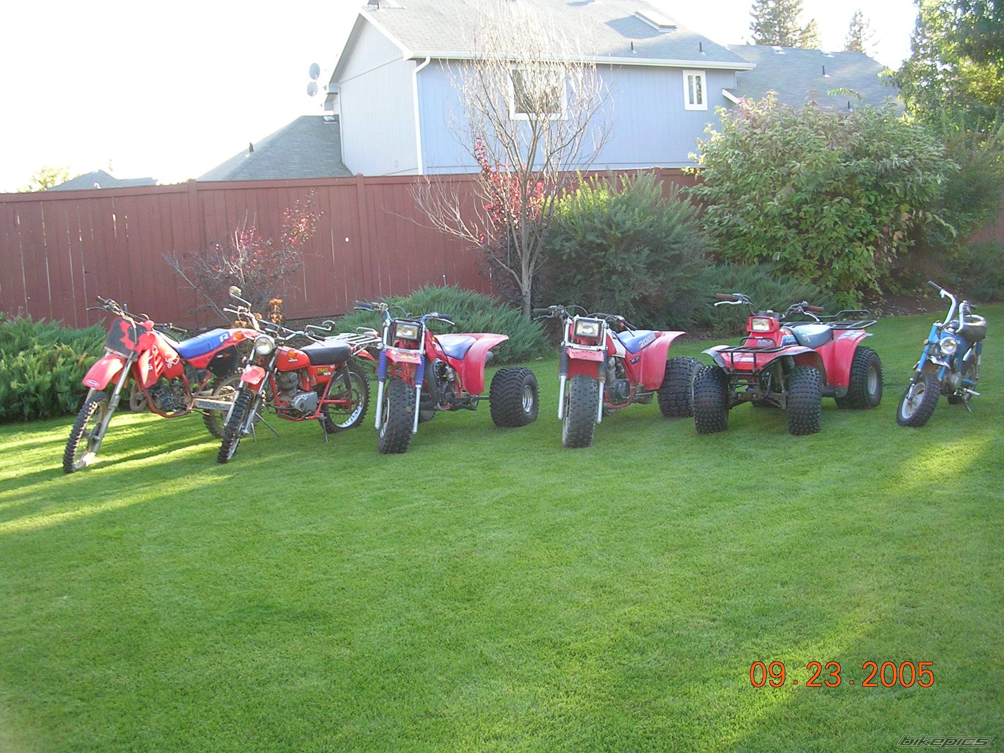 1977 HONDA CT 125 | Picture 434349 motorcycle photo