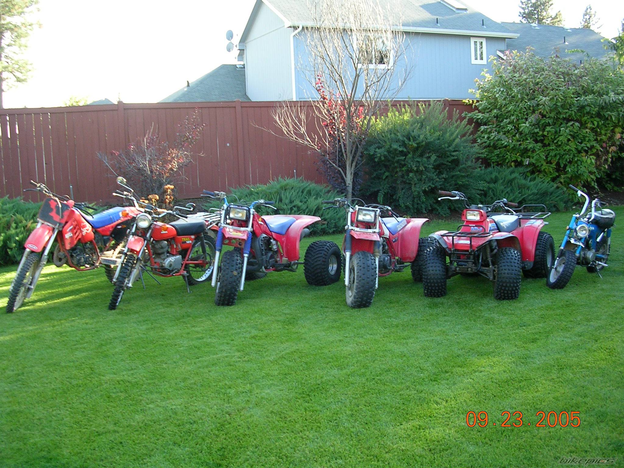 1977 HONDA CT 125 | Picture 434350 motorcycle photo
