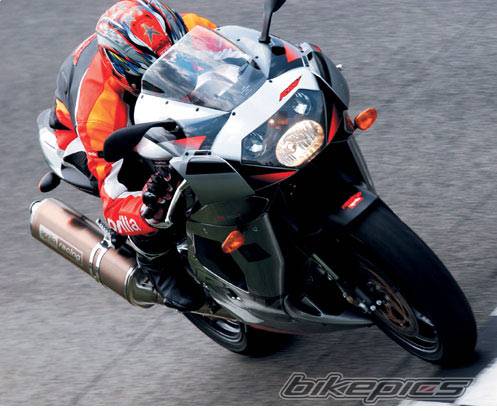 2003 APRILIA RSV 1000 MILLE | Picture 43456 motorcycle photo