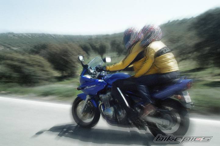 2002 SUZUKI BANDIT 600 | Picture 435031 motorcycle photo